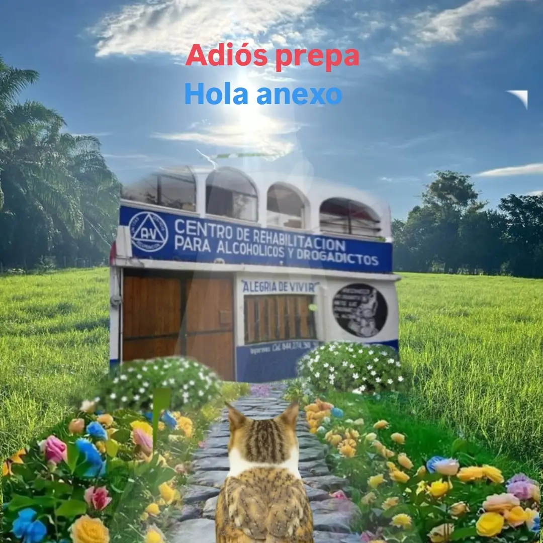 @Wizyfn30hz @Wizyfn30hz 