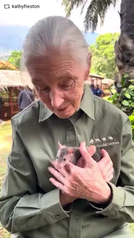 #REPOST @kathyfreston with @download_repost_pro - It’s World Farm Animal Day — and just yesterday, we lost Jane Goodall, perhaps at the very moment we need her most.   She spent a lifetime showing us that animals are not “others,” but beings with families, feelings, and rich inner lives. She taught us to honor them, to listen to them, to see them.   Not just chimpanzees or wild animals, but also farm animals who are destined to become food.   Now, the brilliant torch she carried is in our hands. On this day meant to celebrate and protect animals, may we reflect on her work — and continue it with courage, tenderness, and resolve.   What better way to honor her than to widen our circle of care, knowing (and acting as if )their future is braided with our humanity. 🌍✨🐾   As Jane once said: “The least I can do is speak out for those who cannot speak for themselves.” Original narration & writing by Kathy Freston  Video credits to: @jenni_on_the_farm  @janegoodallinst  @herdy_herdwick  @brownhikingtrails  @earthpulse111  @beautifulmatters  @figgyfarmanimalsanctuary  @happilyheiferafter  @littleredbarn_sanctuary  @sheldricktrust  @gez_robinson_photography  - Jeanne DuPrau from The Earth House (🎥Please dm for credit or removal) #janegoodall #worldanimalday #restinpeace #fortheanimals 