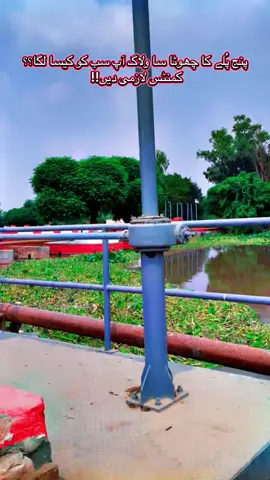 #punjpula #Vlog #mini #hafizabad 