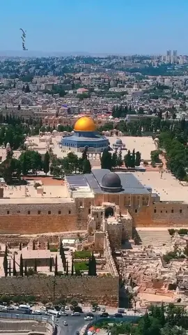⚔️🇹🇷☝🤲🇵🇸⚔️