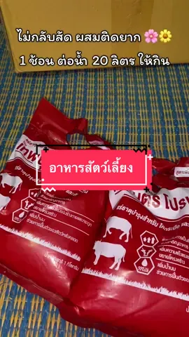 #สัตว์เลี้ยง #วัว #ฟาร์ม #เกษตร #คนเลี้ยงวัว 