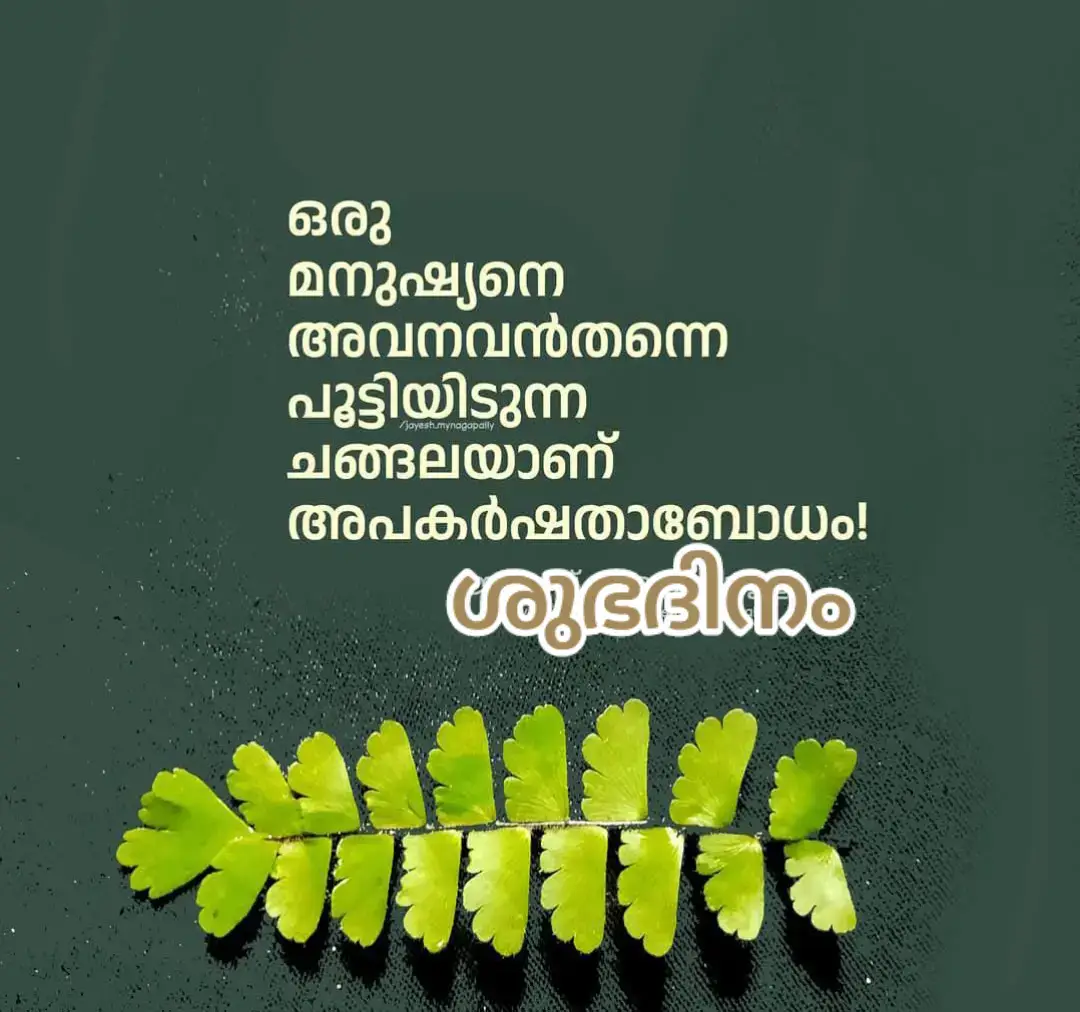 Good morning dear friends 💖#ശുഭദിനം🙏🙏🙏🏡🌸🌸🌸 #ഇന്ത്യ #Qatar #touryoupege #🙏🏻🙏🏻🙏🏻🙏🏻🙏🏻🙏🏻🙏🏻🙏🏻🙏🏻🙏🏻🙏🏻🙏🏻🙏🏻🙏🏻💚💚tiktok 