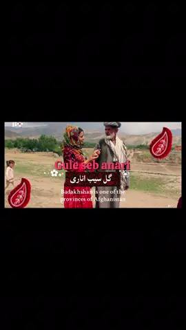 Tajikana- gule seb anari #afghanistan #tajik #tradationalclothes #fyp #explore 