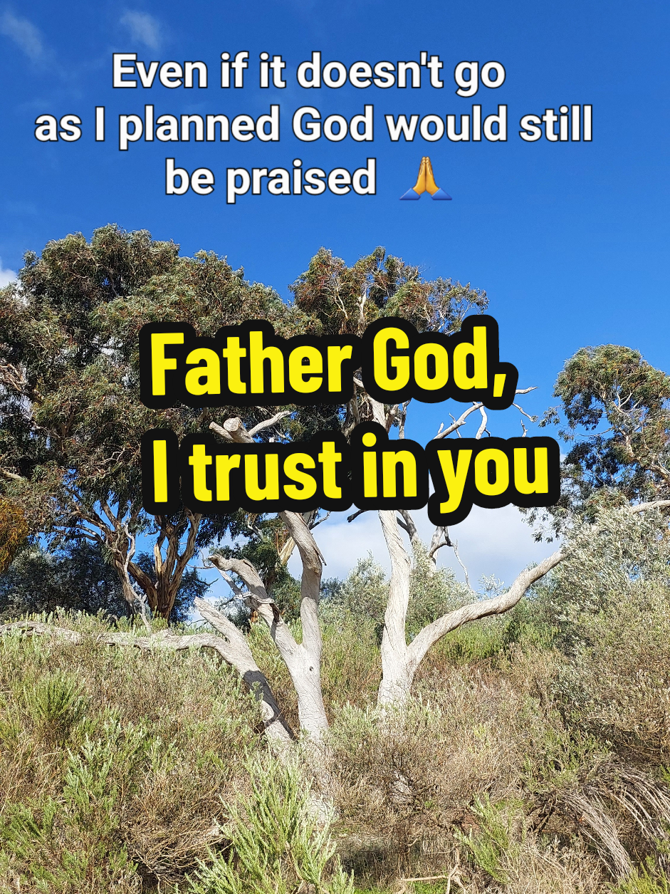 Even if it doesn't go as planned God would still be praised pray 🙏 💙 ✨️ #godislove #godisgood #amen 