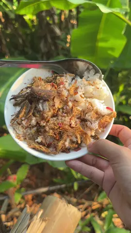 Cá khô giã ớt – món ngon tốn cơm, lai rai cực đã, chuẩn vị nhà làm#cákhô #siêucayamthuc #tâybắc #xuhuongtiktok #mukbangvideo 