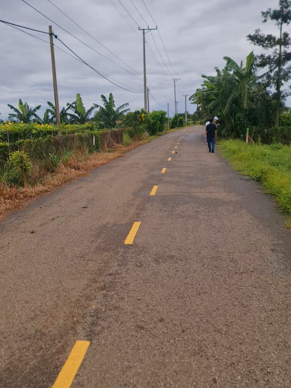 Lô đất đẹp xã Láng Dài, Đất Đỏ dt 1000m2 khu dân cư #bdsantoan #vungtau #datdo 