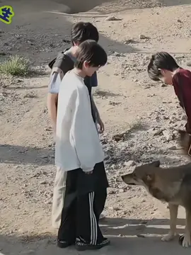 ខ្ញុំជាឆ្កែ🐶#zouqihan #zhangguiyuan #tffamily #tffamily_4th_generation 