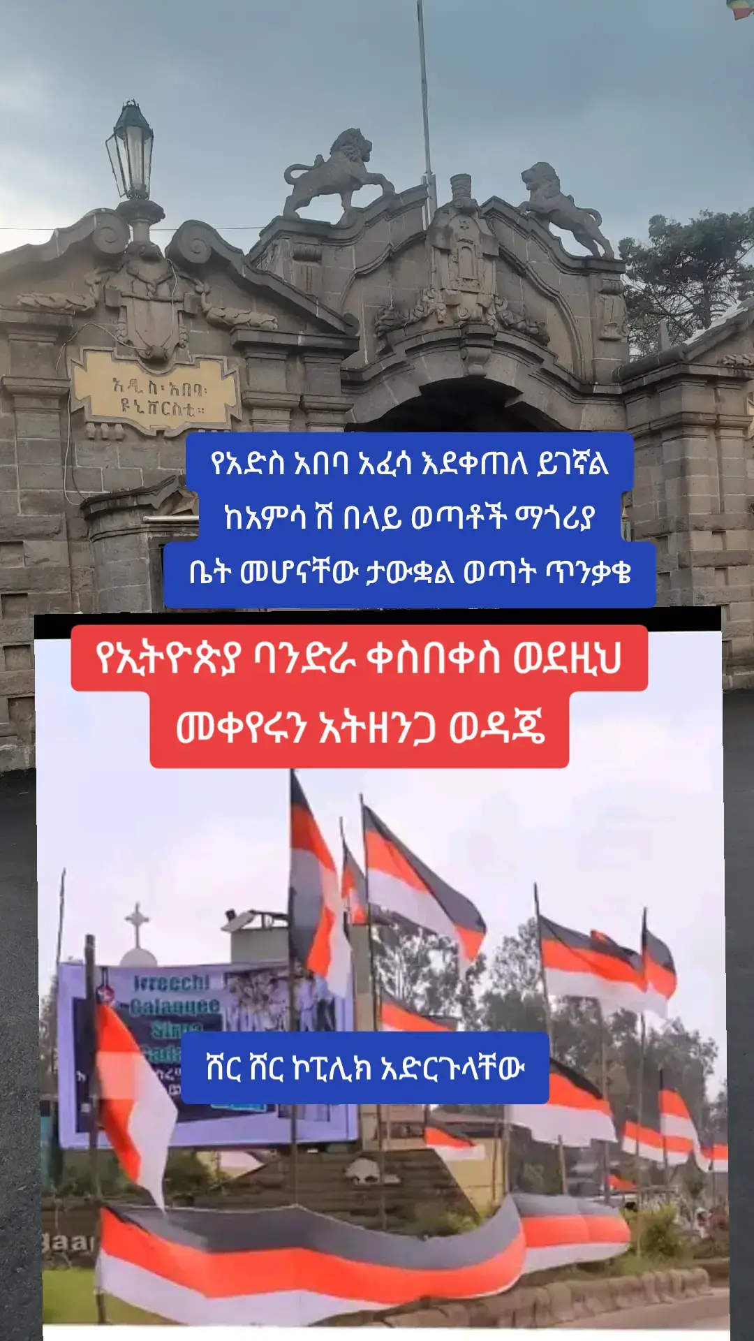 #ጎጃም💚💛❤ሸዋ💚💛❤ጎንደር💚💛❤ወሎ💚💛❤አንድ 