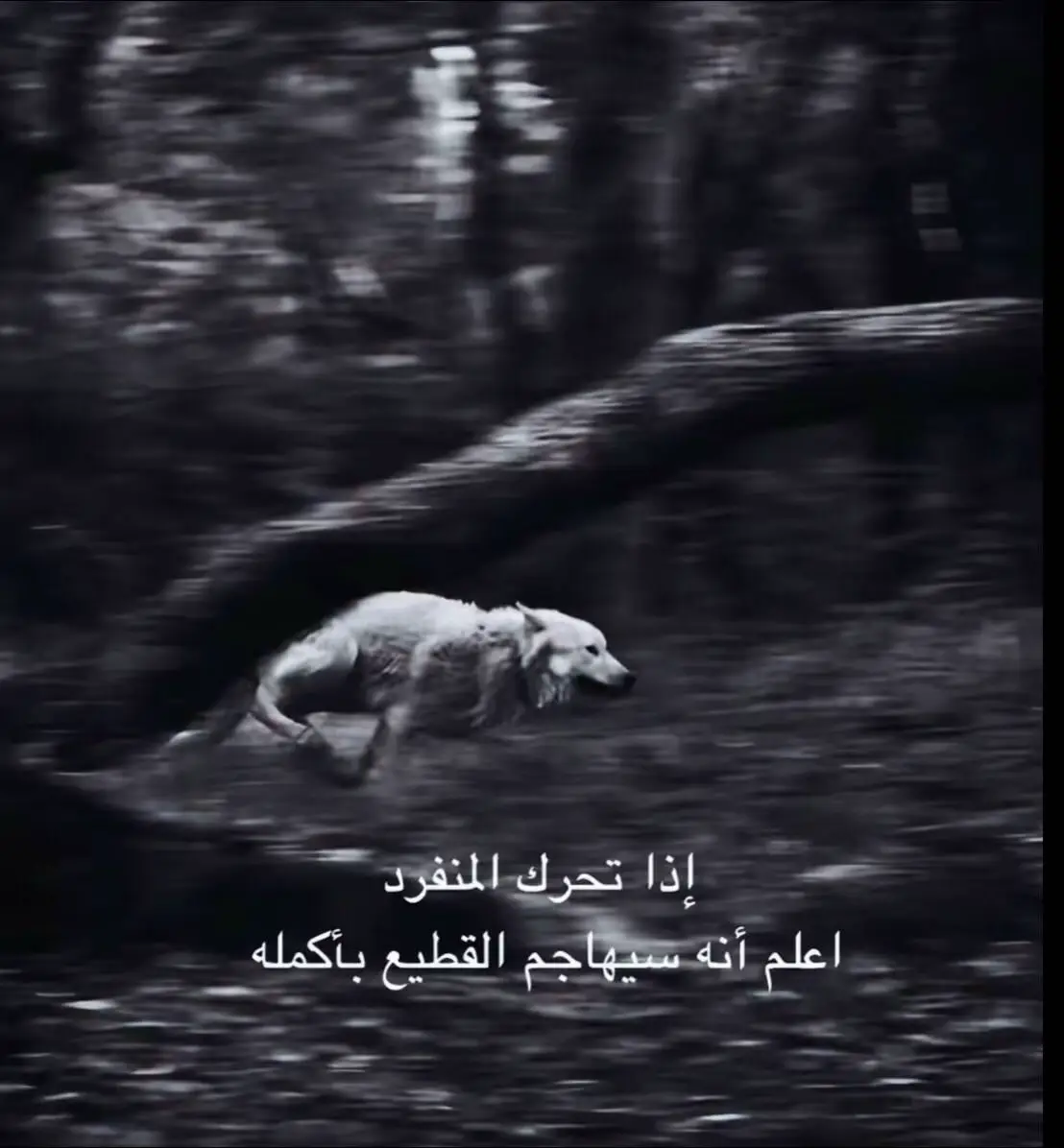 #موصل_بغداد_كركوك_حله_نجف_بصره #الصاعقه #c30 