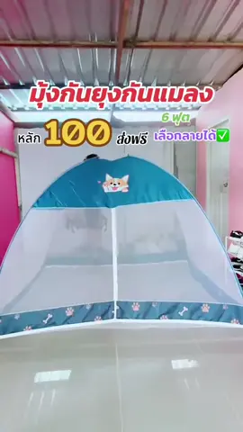 มุ้งกันยุง#มุ้ง #มุ้งกันยุง #มุ้งครอบ #มุ้งกันแมลง 