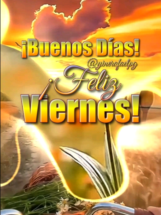 Buenos días! Feliz Viernes! #frases #bonitas #parati #dios #felizdia 