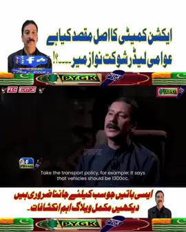 #kashmir#actioncommeti#policies#brieflydescribed