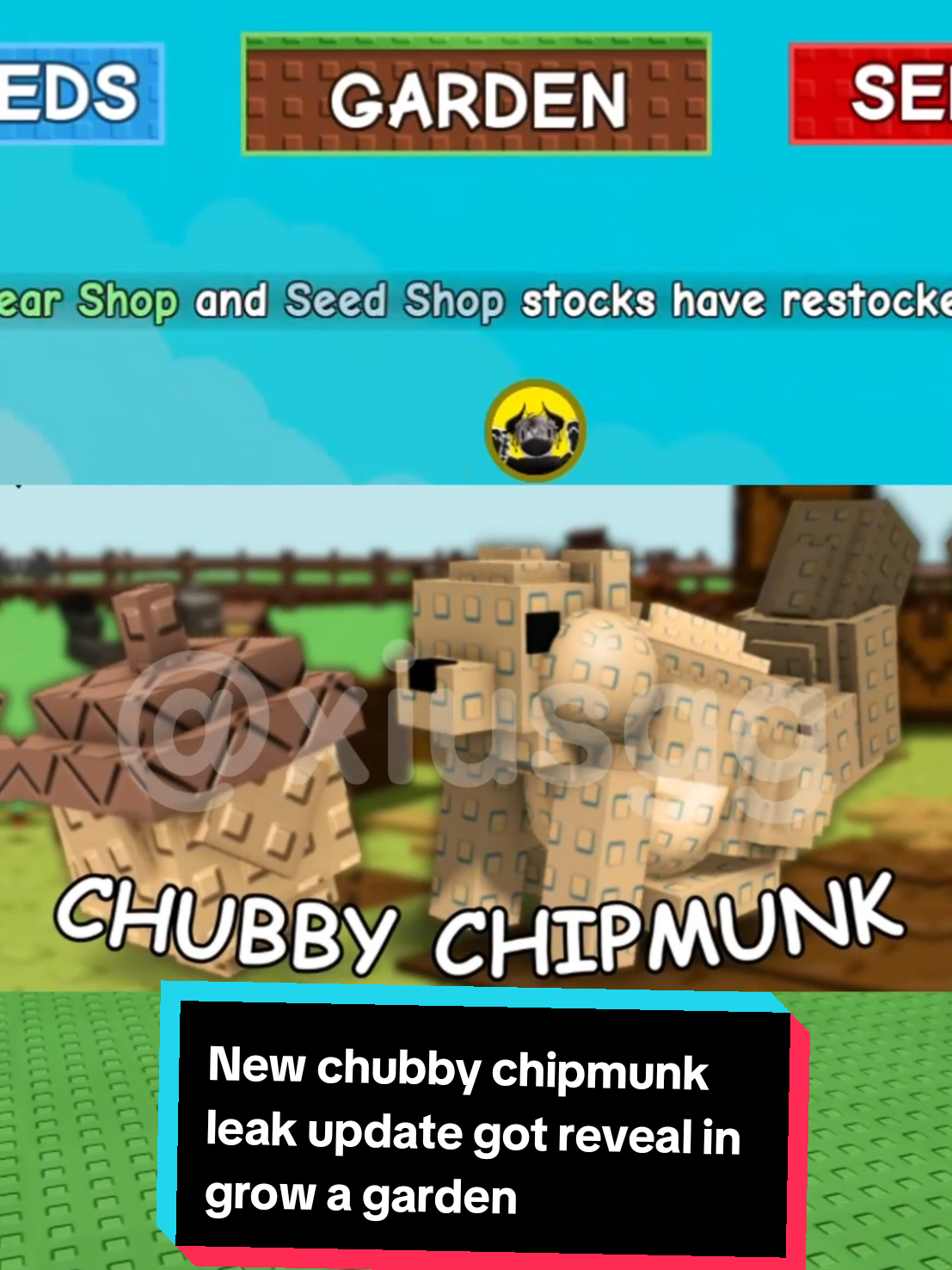 New chubby chipmunk leak update got reveal in grow a garden! #growagarden🥒🌶 #gag #roblox #fyp #robloxfyp