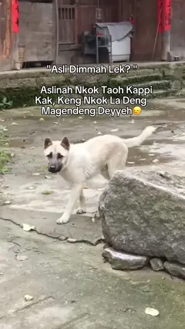 Keng La Neng Enneng Kok Kk🙄#fypシ゚ #lewatberandafyp #fyppppppppppppppppppppppp 