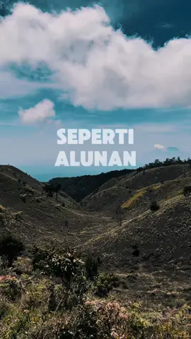 Masya Allah 