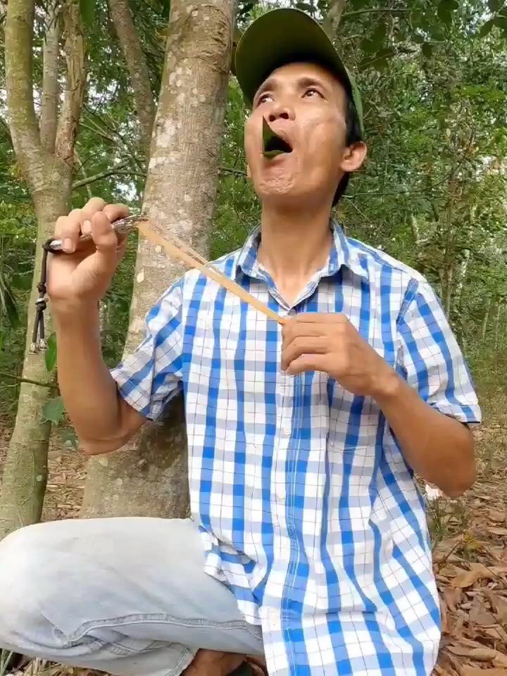 #entertainment #birdsounds #shorts - Nguyễn Điền Trung
