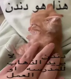 #explor #ترند #اكسبلور #الشعب_الصيني_ماله_حل😂😂 