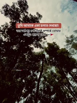 Mind it 💀 . . . . . . #foryou #status_lover607 #tiktok #viralvideo #officialtiktok 