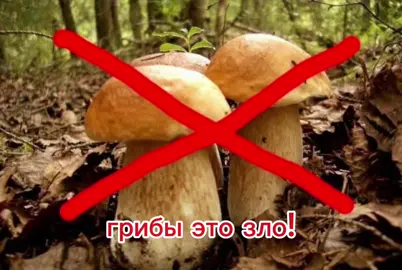 Ядовитые грибы — грибы, содержащие ядовитые вещества — токсины. По характеру отравление ядовитыми грибами делят на три группы: вызывающие пищевые отравления, вызывающие нарушение деятельности нервной системы (галлюциногенные) и смертельно ядовитые. #гриб #грибызло #антигриб #антигрибковаяпрограмма #антигрибковаядиета 