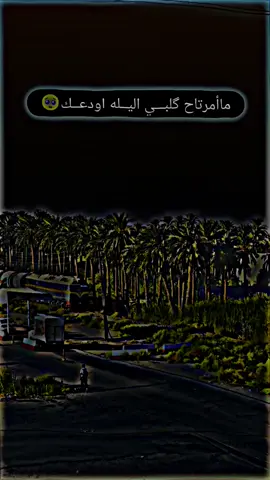 #🥀 #رضاوي💔 #🥀 
