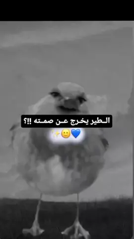 #كارثه😅😋 #الشعب_الصيني_ماله_حل😂😂 