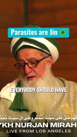 Parasites are Jin #jin #parasites #disease #sickness #shaykhnurjanmirahmadi  