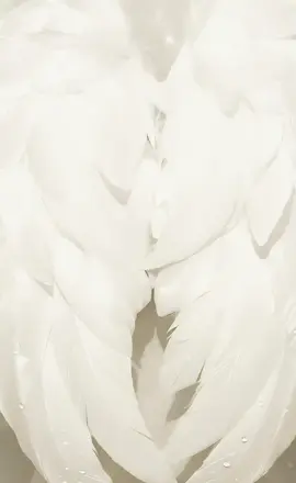 lol angel body lol hahahahhahaha #angel#heaven#devil#hell#fyp 