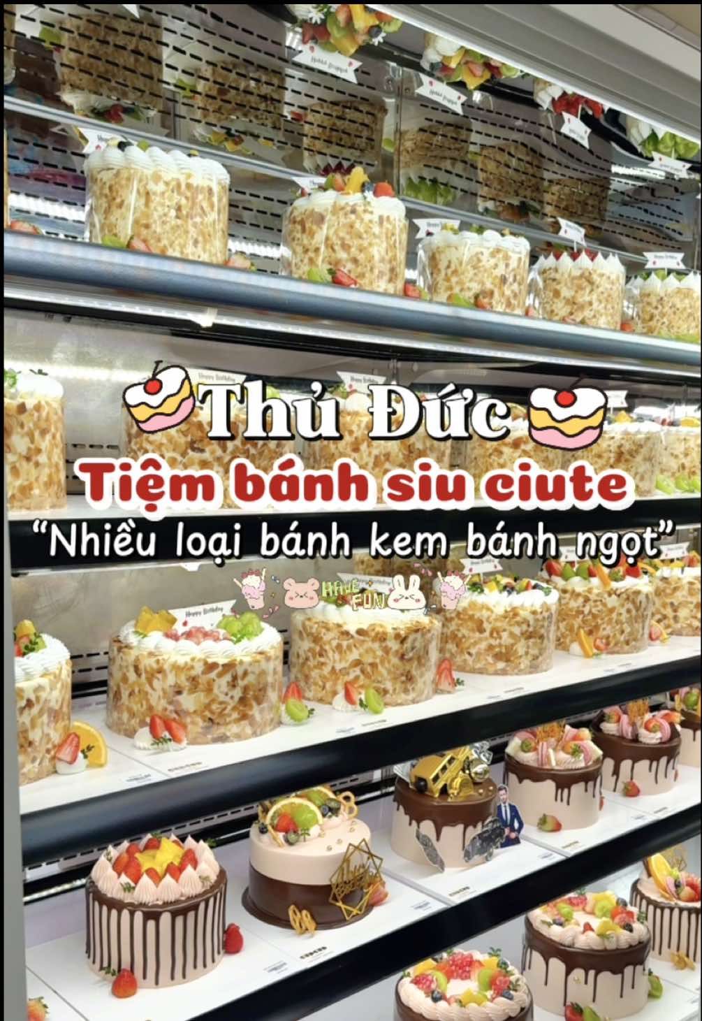 Thủ Đức tui ms tìm dc tiệm bánh kemm nhìu mẫuuu siu hạt dẻ cho mí ní nà🤤 #angithuduc #anngonthuduc #thuducangi #thuducanngon #minnnthuduc 
