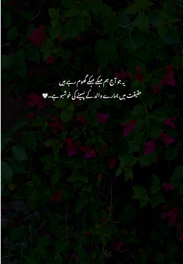 Beshak🫶🥺#grow #poetry #fyp #viralvideos #aestheticvideos 