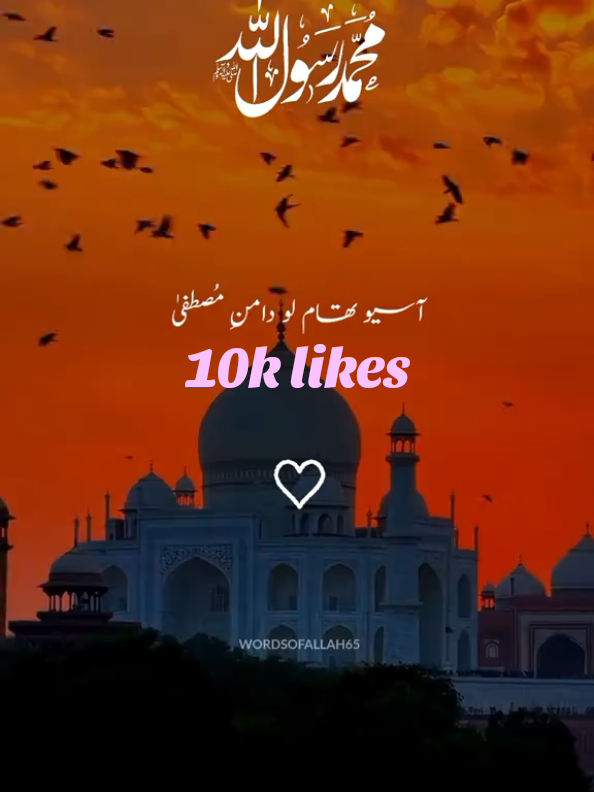 #creatorsearchinsights 