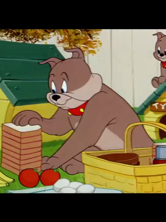 Tom And Jerry #cartoon