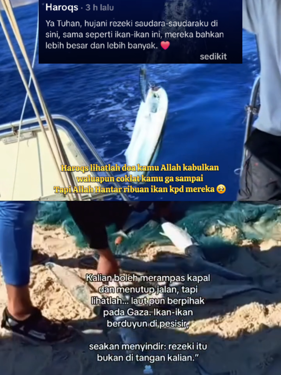 Lihat lah @Haroqs 🥹🥹 Allah kabulkan doa kamu waluapun coklat kamu tidak sampai Allah hantar ikan ikan kepada mereka semua. semoga kalian semua dalam lindungan Allah swt🤲🏼 #globalsumutflottilla #gaza #sumud #falestine #fypppppppppppppp 