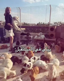 بيتي بالمستقبل 😭😭✨#شعب_الصيني_ماله_حل😂😂 #تصميم_فيديوهات🎶🎤🎬 #شعب_الصيني_ماله_حل😂😂 #تصميم_فيديوهات🎶🎤🎬 #شعب_الصيني_ماله_حل😂😂