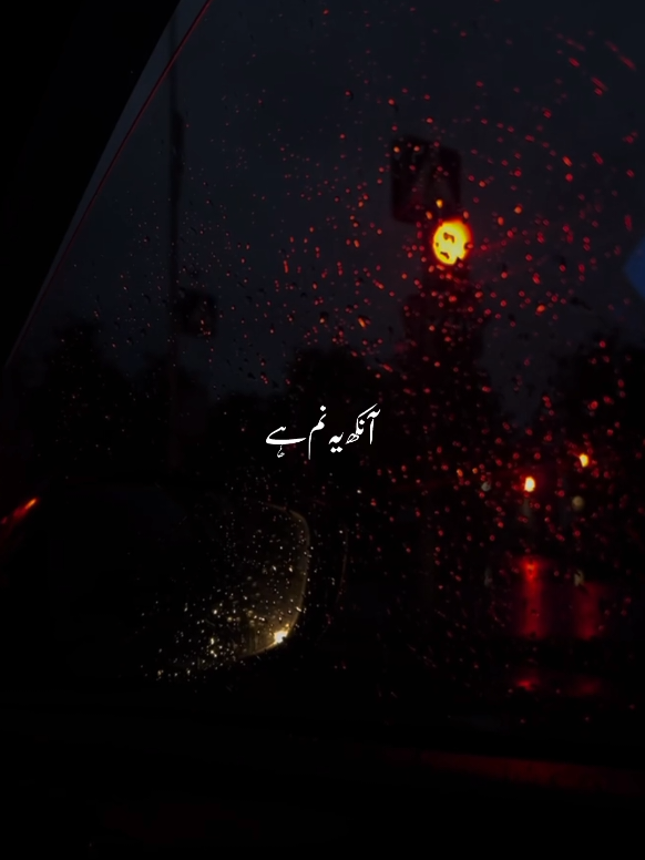 Wo Pagal Si 🫠💘 (OST) || Repost Request || #deartiktokteamdontunderviewmyvideo #deartiktokteamunfreezmyaccound #tayyabaesthetic #ost #foryoupage 