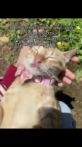 အဲ့လို့🙂‍↕️🫶#foryou #foryoupage #fyppppppppppppppppppppppp 