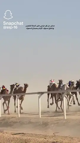 #هجن #اكسبلور 