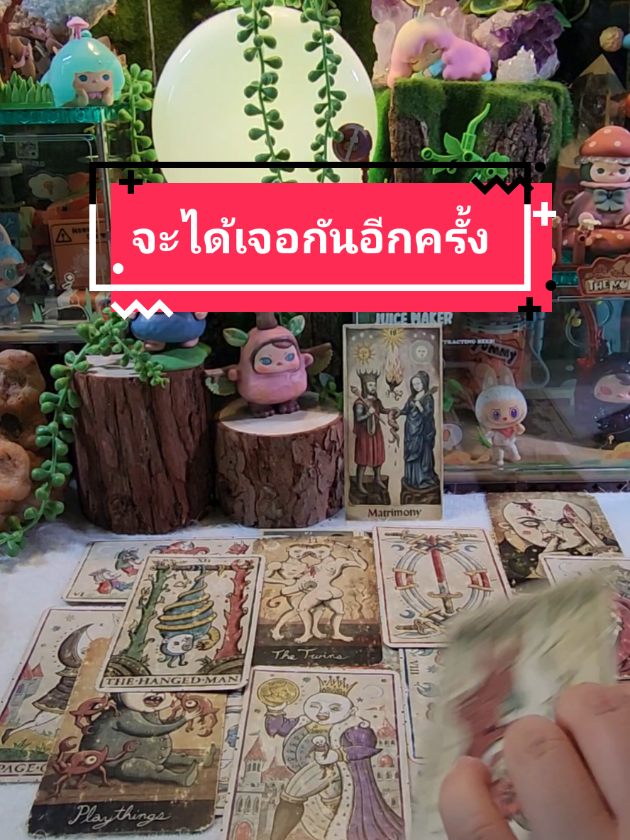 #โสด #สายมู #ดูดวง #ความรัก #แม่หมอปลั๊กกี้ 
