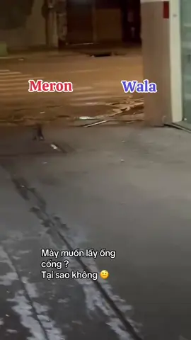 Mày muốn lấy cái cống???#abcxyz #xyzbca #xuhuong #viraltiktok #