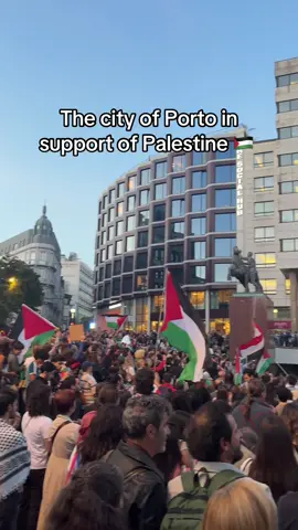 🇵🇸 #freepalestine #fyp 