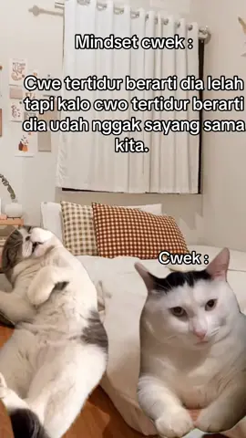 #MemeCut #fyp #memestiktok #Meme 