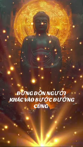 Đừng dồn người khác vào bước đường cùng #nammobonsuthichcamauniphat #nammoadidaphat 