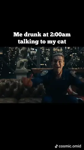 POV: Me at 2AM, wine in hand, giving my cat the 'ungrateful' speech like Homelander. Cats just don't appreciate us enough! 🐱🌃 #TheBoys #Homelander #CatMeme #DrunkTalk #FunnyCat