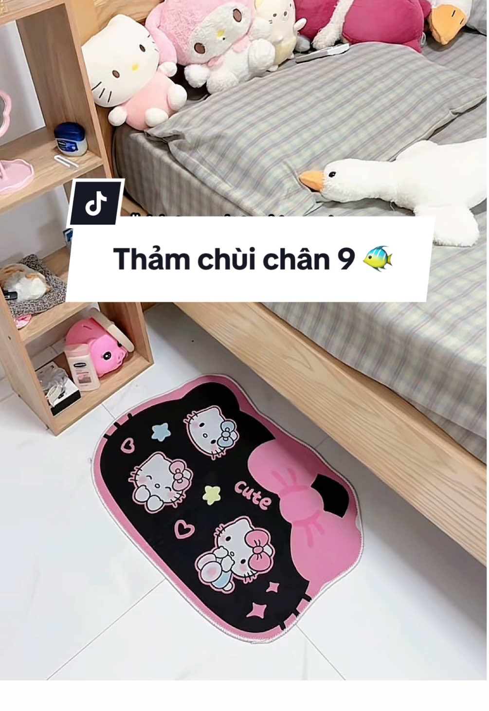 Thảm lau chân, chùi chân chống trơn trượt