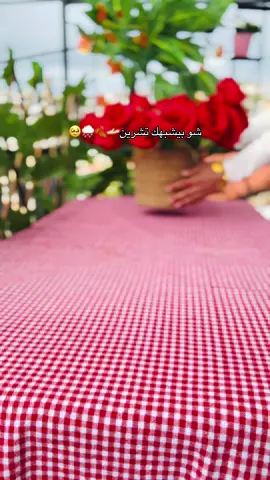 صباح ورايحة المطر وقهوة وانت🫴🏻🍂🥹☕️#الذوق❤️صباح_الخير #ملكة_القهوة👑☕️ #مختلفه_بتفاصيلي🕯 #حلبيه 