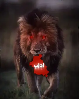 لان بيك رجال متل العافصه🦅💚🔥#لان_بيچ_رجال_مثل_العاصفه #ياحلاتك_يالمدينه #ادلب #ادلب_الخضراء #مشاهدات 
