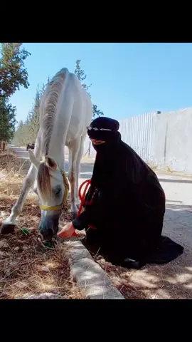 فيديو 📹..قديم 😢#المملكة_الاردنية_الهاشمية #تصوري #الشعب_الصيني_ماله_حل #الخيل_العربي_الاصيل 