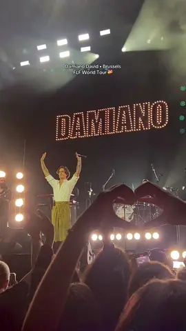 i’m not gonna recover from this concert…it was the best!💓 #damianodavid #funnylittlefears #concert #forestnational @★ @Damiano David 