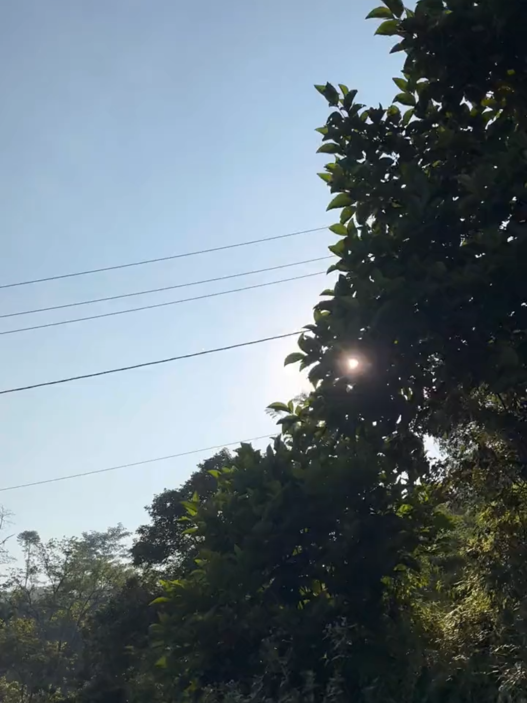 Halo……. #fyp #1080p60fps #berandatiktok #hd60fps #foryou 