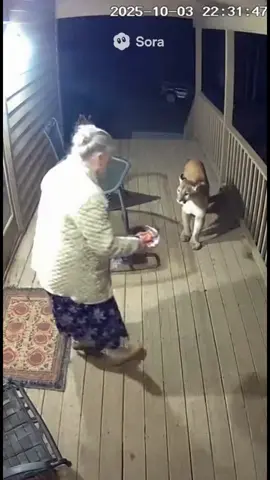 My grandma is crazy 🤣 #mountainlion 