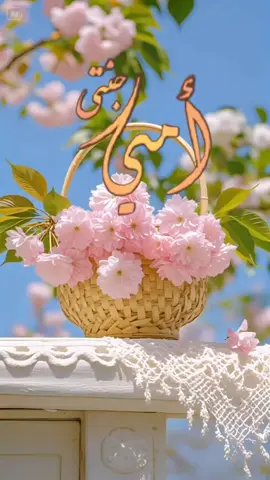 #امي 